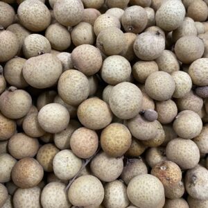 ลำไย (Longan)