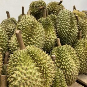 ทุเรียนไทย (Thai Durian)