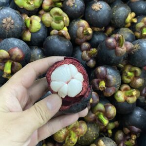 มังคุด (Mangosteen)
