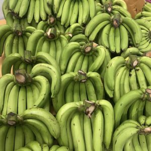 กล้วย (Banana)