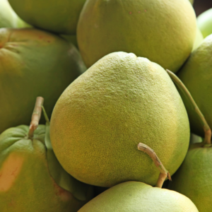 ส้มโอ (Pomelo)